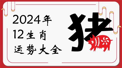 猪年2024运程|属猪2024年运势及运程详解 2024年属猪人的全年每月运势